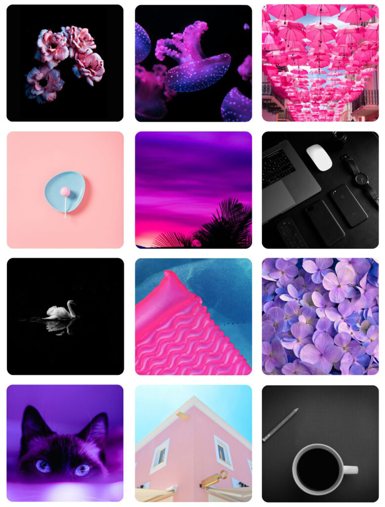 Purple Black and Pink