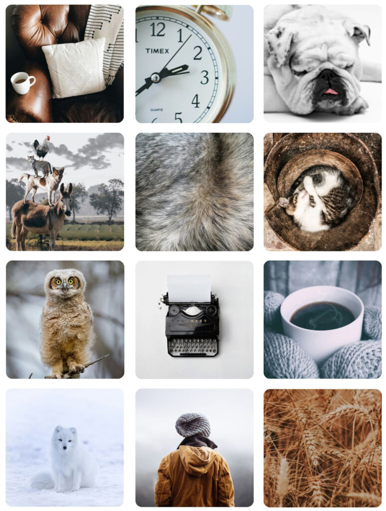 White Grey Brown