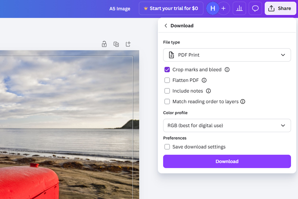 Canva Screenshot Download